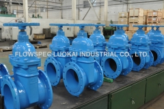 ANSI-NRS-Resilient-Seated-Gate-Valve