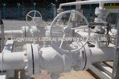 ANSI-Trunnion-Mounted-Ball-Valve-in-Power-Plant