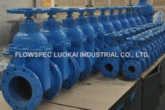 BS5163-NRS-Resilient-Seated-Gate-Valve