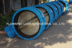 Central-Lined-Flanged-Butterfly-valve