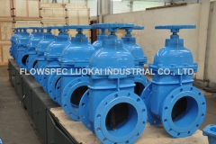 DIN3352-NRS-Resilient-Seated-Gate-Valve