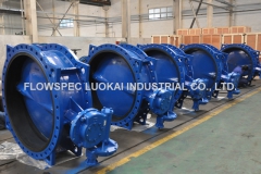 Double-Eccentric-Flanged-Butterfly-Valve
