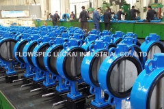 Ductile-Iron-Wafer-Type-Butterfly-Valve