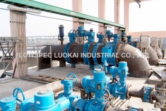 Electric Actuated Flanged Butterfly Valve