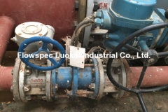 Electrical Butterfly Valve in Hydropower Station