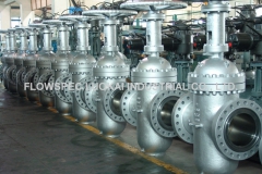 Expanding-Gate-Valve