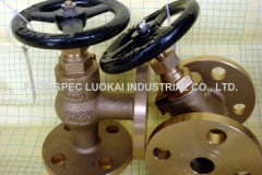 JIS-Bronze-Globe-Valve