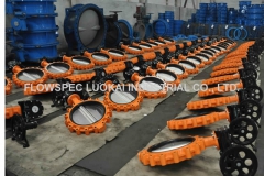 Lug-Type-Butterfly-Valve