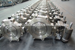 Lug-Type-Offset-Butterfly-Valve