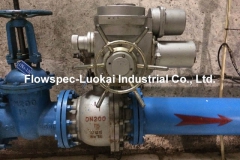 Motorized Ball Valve in Hydropower Station