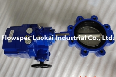 Motorized Lug Butterfly Valve