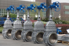 Motorized-Slab-Gate-Valve