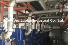 Stainless Steel Bellows Expansion Joints