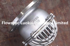 Stainless Steel Foot Valve DN200