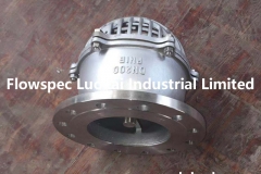 Stainless Steel Foot Valve 8 in