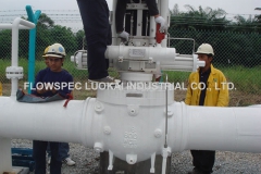 Top-Entry-Ball-Valve-on-Site