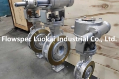 Triple Offset Butterfly Valve Manufacturers