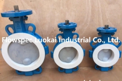 Wafer Butterfly Valve PFA Lined Directing Pad