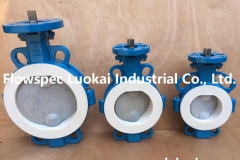 Wafer Butterfly Valve PFA Lined