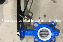 Wafer Butterfly Valve with Locking