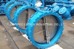 Wafer-Type-Dual-Plate-Check-Valve