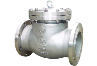 ANSI Swing Check Valve