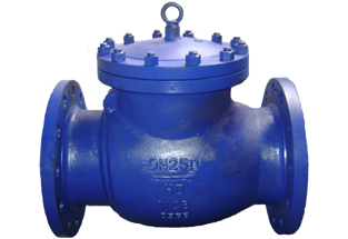 ANSI Swing Check Valve