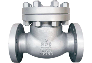 ANSI Swing Check Valve