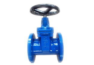 ANSI Cast Iron Gate Valve