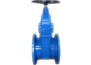 ansi cast iron gate valve