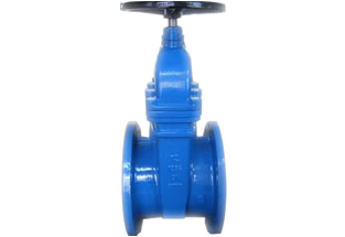 ANSI Cast Iron Gate Valve