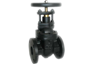 ANSI Cast Iron Gate Valve