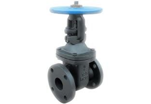 ANSI Cast Iron Gate Valve