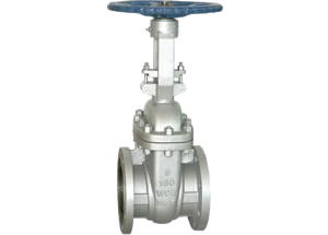 ANSI Cast Steel Gate Valve