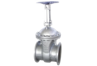 DIN Cast Steel Gate Valve