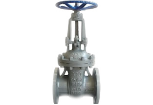 DIN Cast Steel Gate Valve