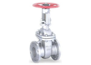 JIS Cast Steel Gate Valve