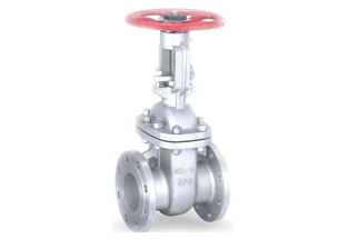 JIS Cast Steel Gate Valve