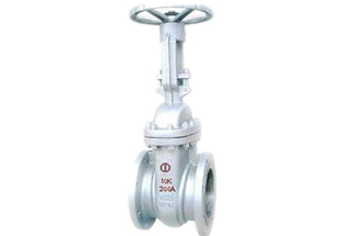 JIS Cast Steel Gate Valve