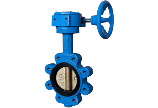 Lug Butterfly Valve Rubber Lined