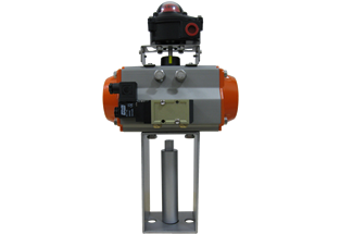 Pneumatic Actuator