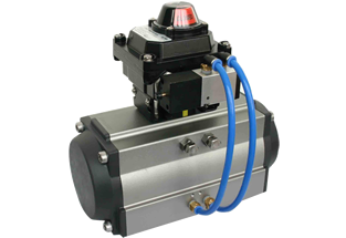 Pneumatic Actuator