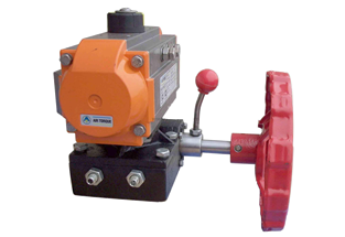 Pneumatic Actuator