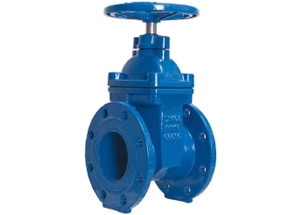 SABS 664 resilient seated gate valve