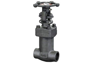 Forged Steel Globe Valve