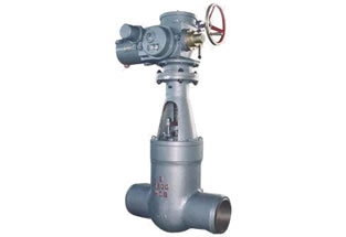 ANSI Pressure Seal Bonnet Gate Valve