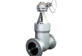 ANSI Pressure Seal Bonnet Gate Valve