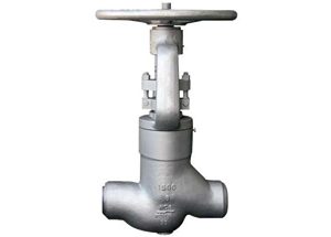 ANSI Pressure Seal Bonnet Globe Valve