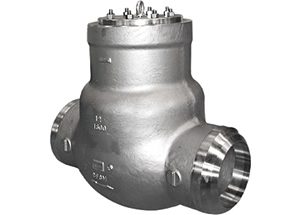 ANSI Pressure Seal Bonnet Check Valve