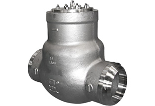 ANSI Pressure Seal Bonnet Check Valve